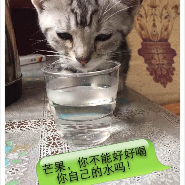 个税不动产证书号码是哪个